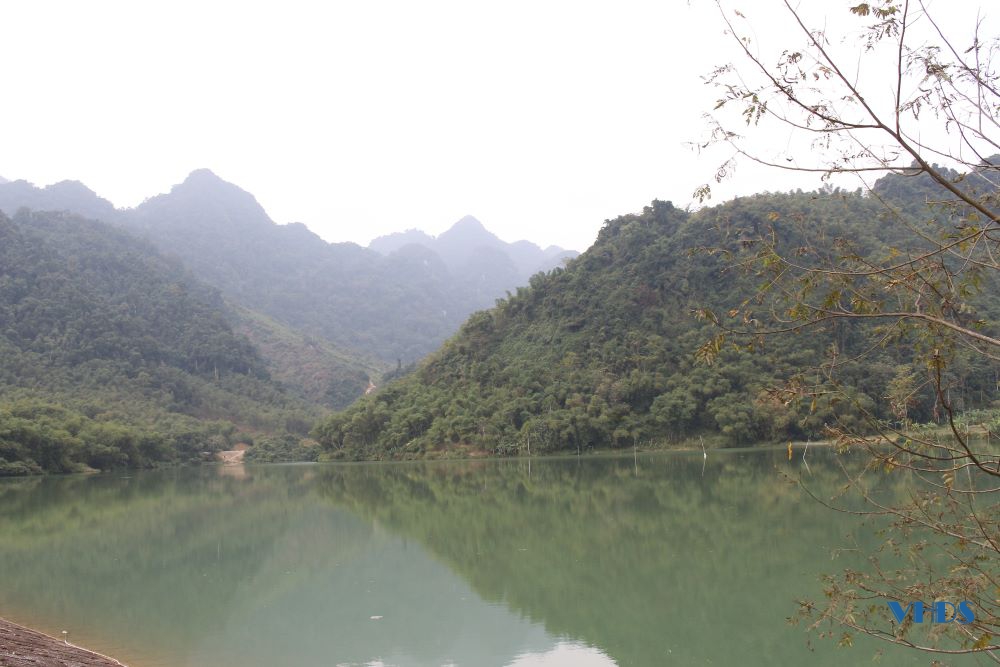 Phát triển cây luồng và làm du lịch sinh thái ở xã vùng cao Phú Nghiêm