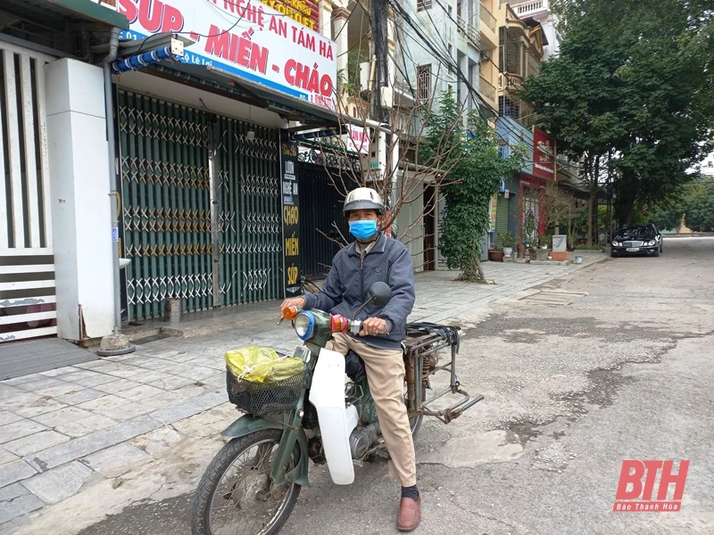 Đào, quất sau tết…