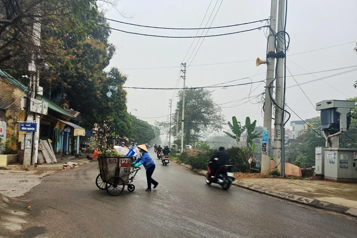 Đào, quất sau tết…