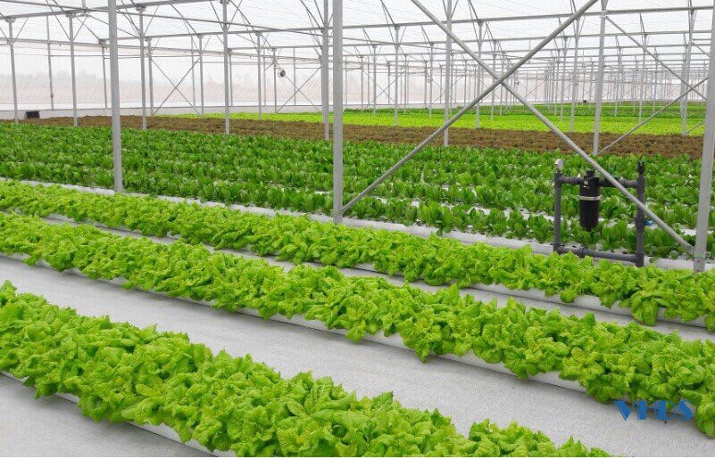 Quảng Xương phát triển kinh tế gắn xây dựng nông thôn mới nâng cao, nông thôn mới kiểu mẫu