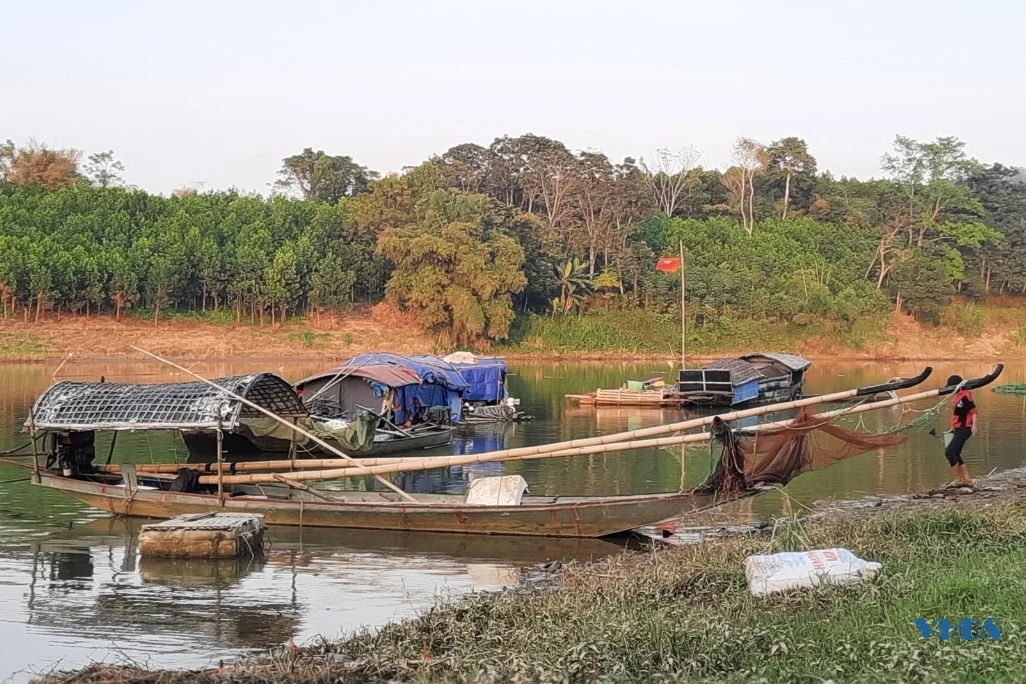 Nhiều hộ dân thu nhập ổn định nhờ nghề nuôi cá lồng trên sông Chu