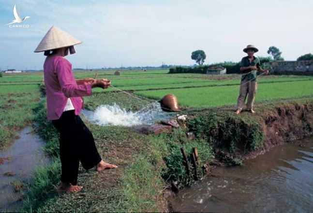 Tìm hiểu văn hóa: Chiếc gầu trong đời sống lao động của nông dân Việt Nam