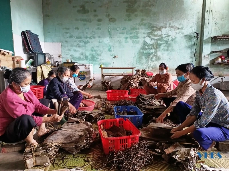 Thơm ngon bánh gai Huy Thu