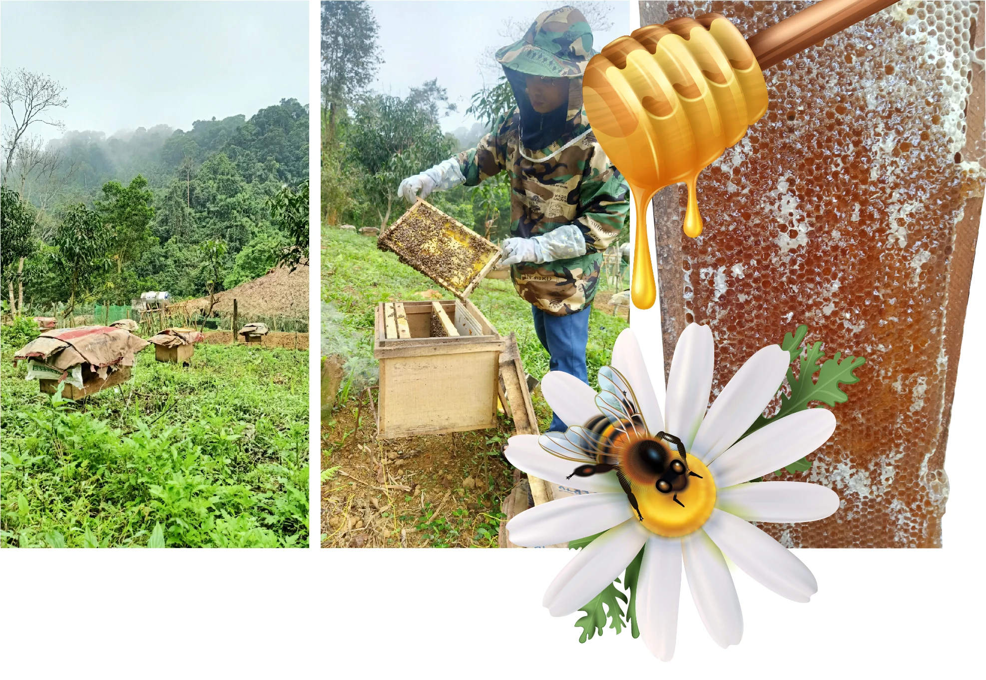 [E-Magazine] - Nữ giám đốc HTX 9X và ước mơ nâng tầm sản phẩm nông sản rừng núi