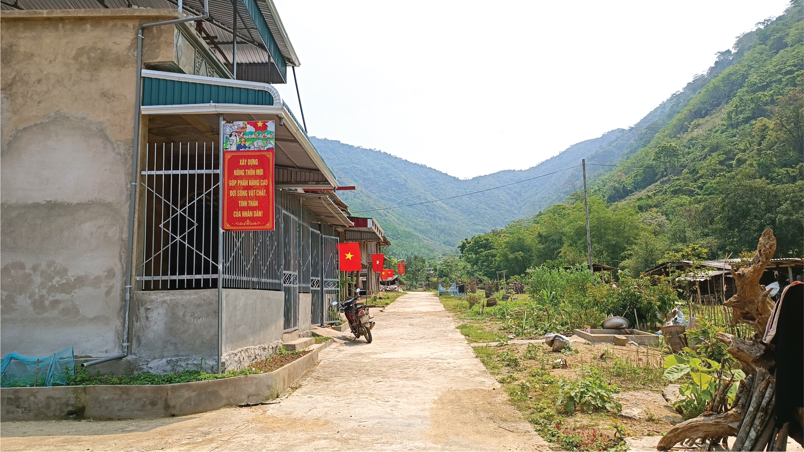 [E-Magazine] - Những mảnh đất “hồi sinh” sau lũ