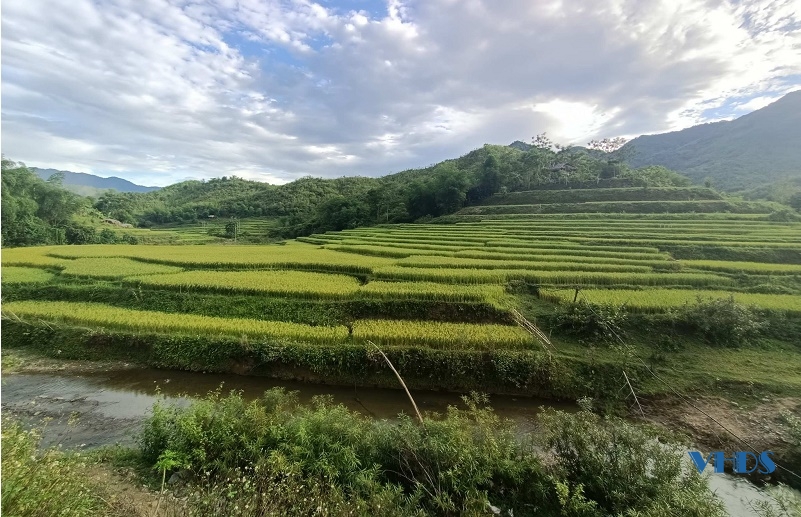 Tiềm năng phát triển kinh tế nông nghiệp hữu cơ gắn với du lịch sinh thái tại huyện Quan Sơn