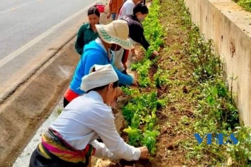 Hội LHPN Quan Sơn thực hiện hiệu quả tiêu chí môi trường trong xây dựng nông thôn mới