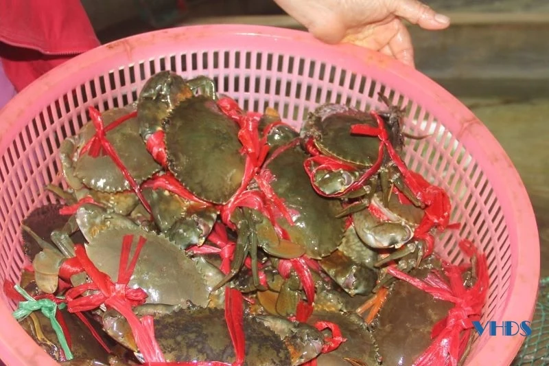 Món ngon ở khu du lịch biển Hải Tiến
