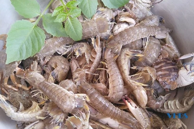 Món ngon ở khu du lịch biển Hải Tiến