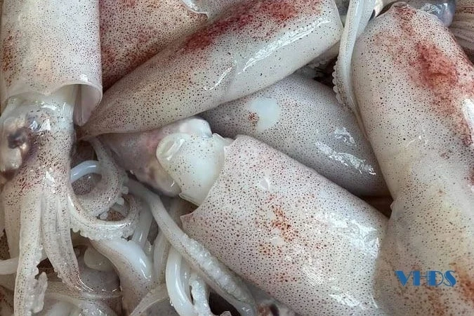 Món ngon ở khu du lịch biển Hải Tiến