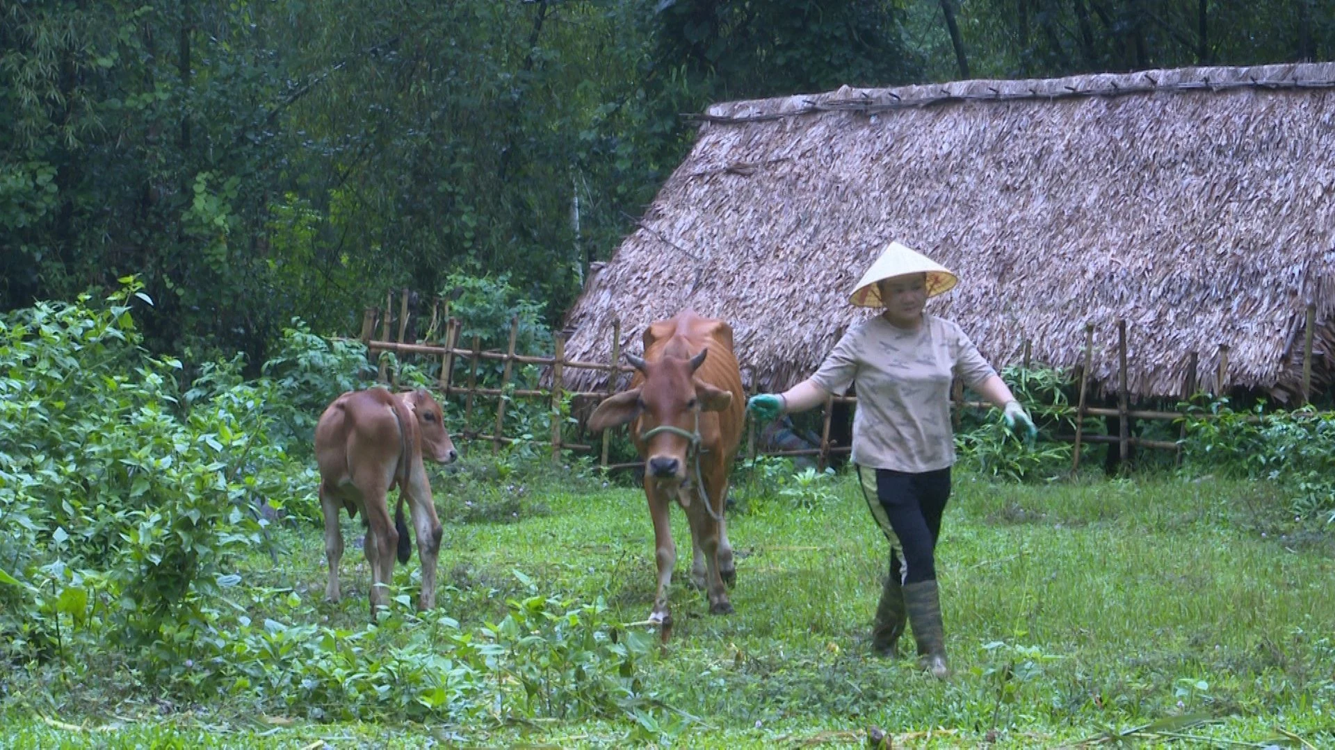 Ngân hàng Chính sách xã hội Bá Thước: Đồng hành cùng mục tiêu giảm nghèo