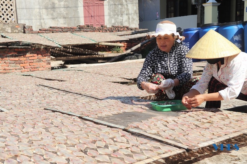 Hiệu quả từ tổ liên kết chế biến hải sản do phụ nữ làm chủ ở xã Hoằng Phụ