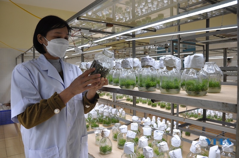 Viện Nông nghiệp Thanh Hoá đẩy mạnh ứng dụng khoa học công nghệ