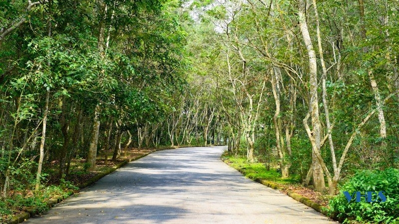 Về Sầm Sơn ngắm núi thiêng Trường Lệ