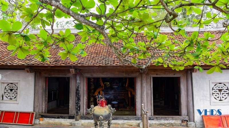 Về Sầm Sơn ngắm núi thiêng Trường Lệ