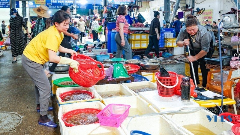 Khám phá chợ hải sản nổi tiếng trên thành phố biển