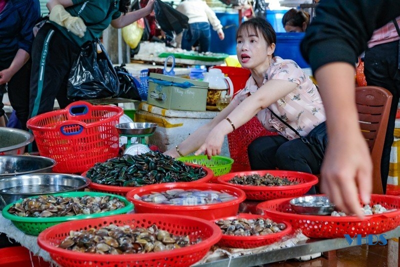 Khám phá chợ hải sản nổi tiếng trên thành phố biển