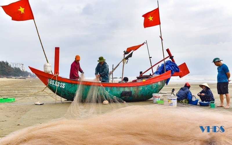 Khám phá chợ hải sản nổi tiếng trên thành phố biển