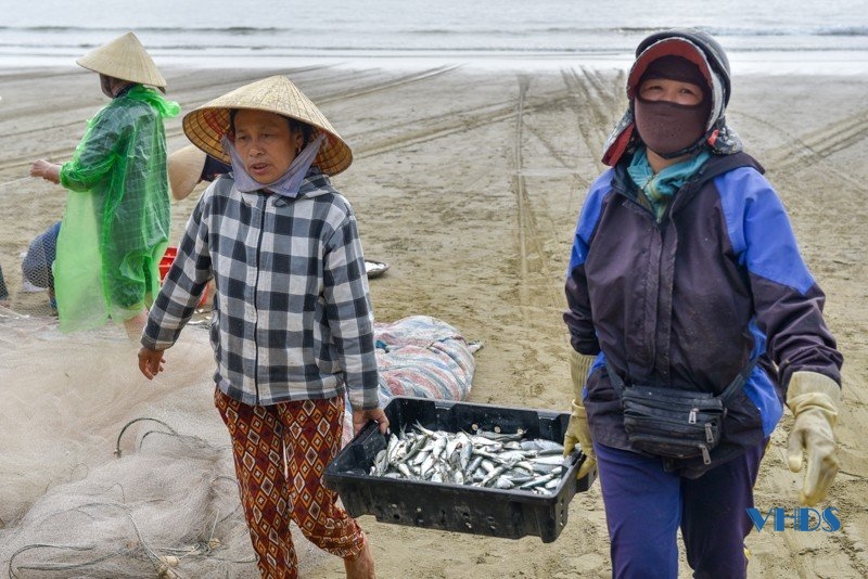Khám phá chợ hải sản nổi tiếng trên thành phố biển