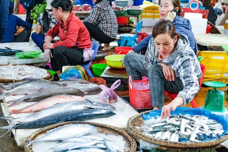 Khám phá chợ hải sản nổi tiếng trên thành phố biển