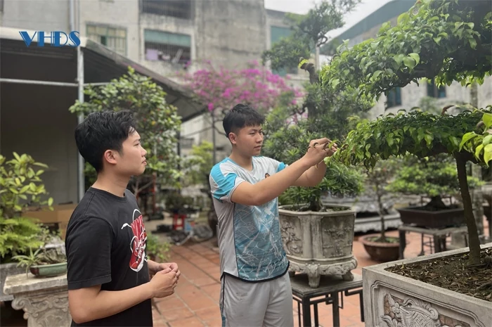 Người “thổi hồn” vào cây cảnh giữa lòng phố thị