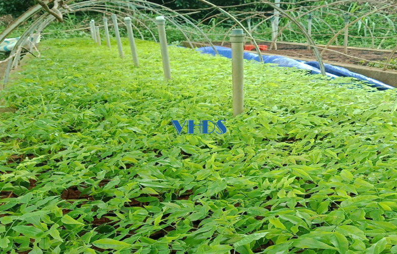 Đa dạng sinh học ở Vườn Quốc gia Bến En