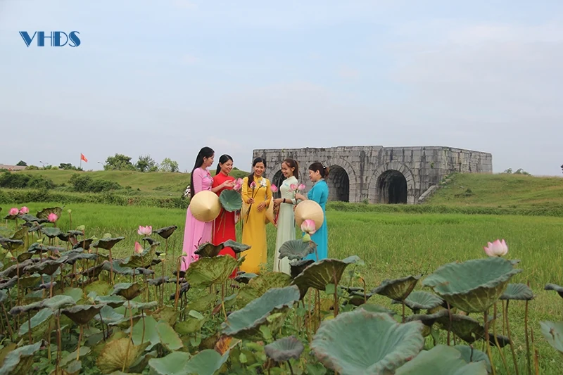 Thơm ngát hương sen trong Di sản Thành Nhà Hồ