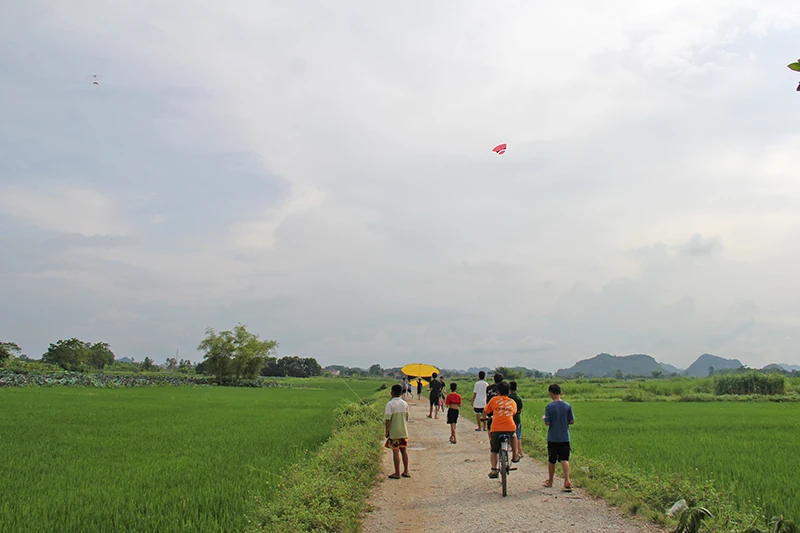 Thơm ngát hương sen trong Di sản Thành Nhà Hồ