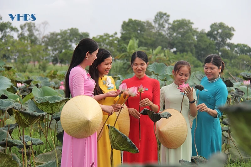 Thơm ngát hương sen trong Di sản Thành Nhà Hồ