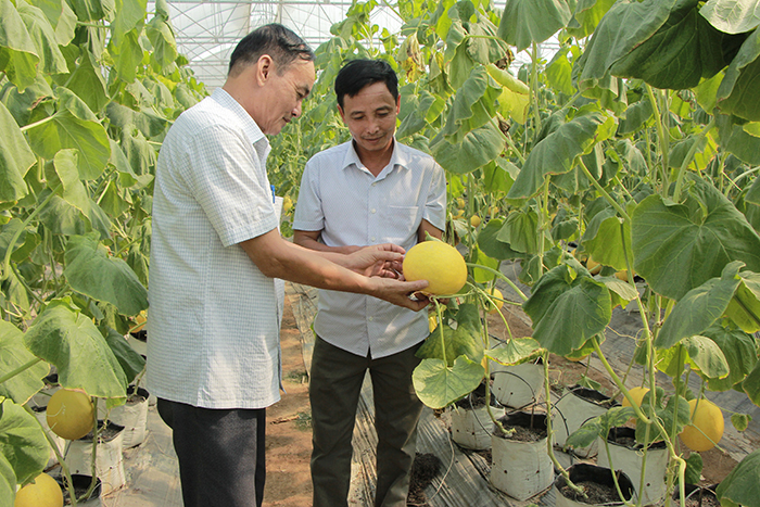 Người cựu chiến binh không cam chịu đói nghèo