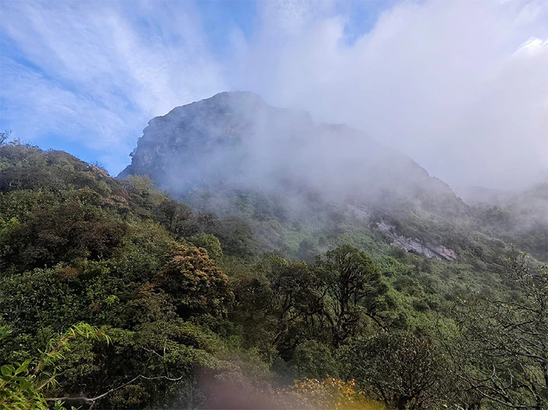 Khu vườn cổ tích Tả Liên Sơn (2996m) - Checked!