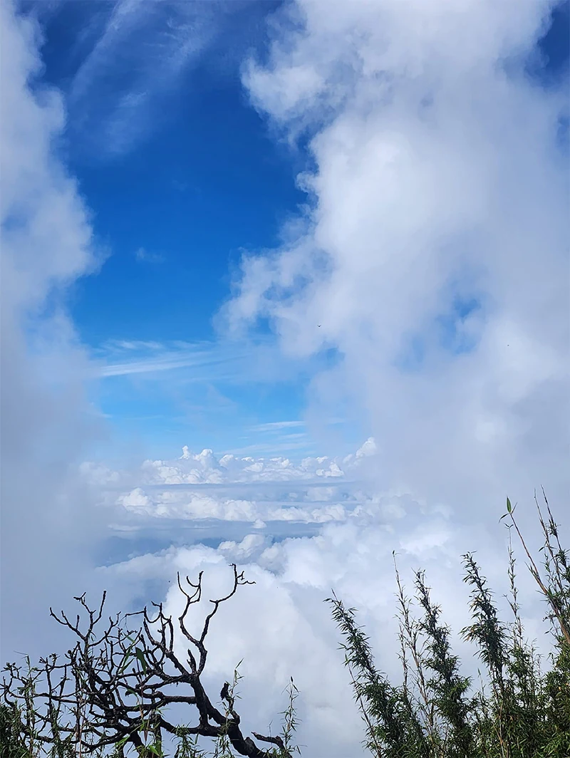Khu vườn cổ tích Tả Liên Sơn (2996m) - Checked!