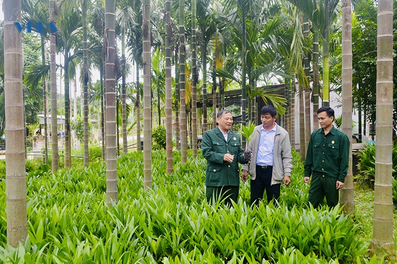 Cán bộ hội năng động, nhiệt huyết