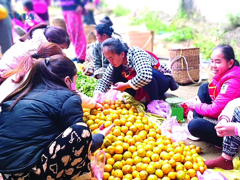 Chợ quê ngày giáp tết