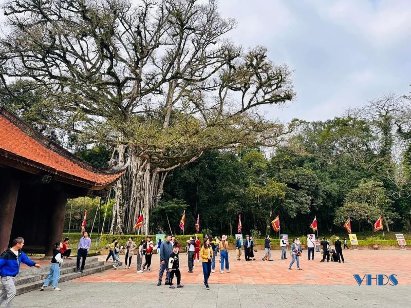 Khu Di tích Quốc gia đặc biệt Lam Kinh đón trên 48.000 lượt khách trong dịp Tết Nguyên đán Giáp Thìn 2024