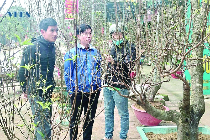 Bí thư chi đoàn tiên phong khởi nghiệp