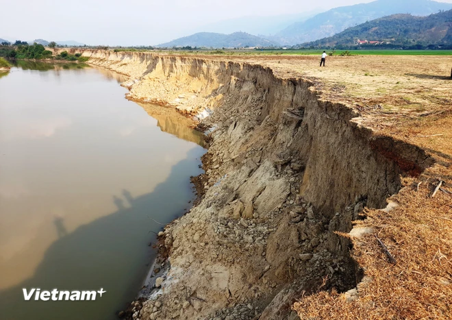 Ngày Môi trường Thế giới: Hành động khẩn cấp để phục hồi đất, ngăn sa mạc hóa