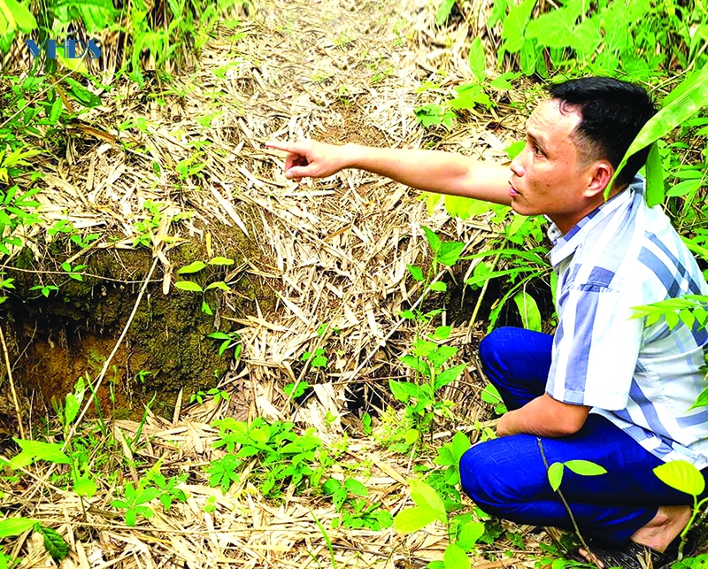 Người dân Pom Ca Thảy và nỗi lo sạt lở