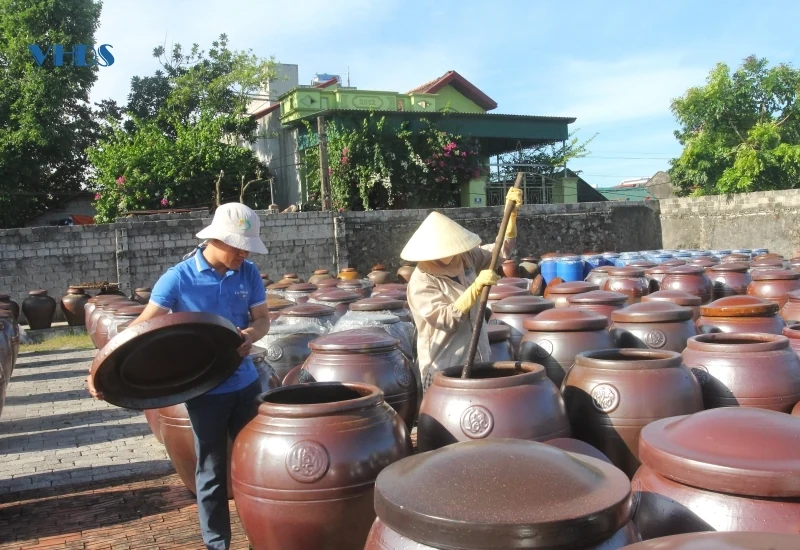 Đẩy mạnh phát triển sản phẩm OCOP hướng tới xuất khẩu