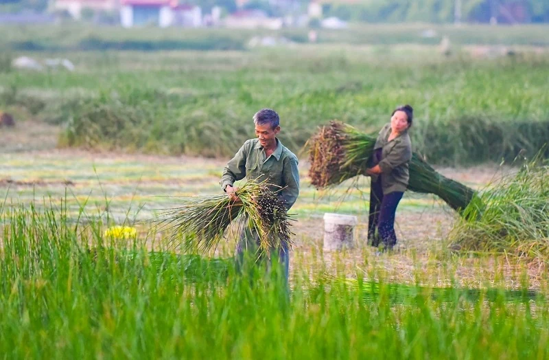 Đẩy mạnh phát triển sản phẩm OCOP hướng tới xuất khẩu