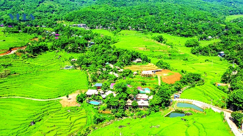 Thân thương ruộng bậc thang