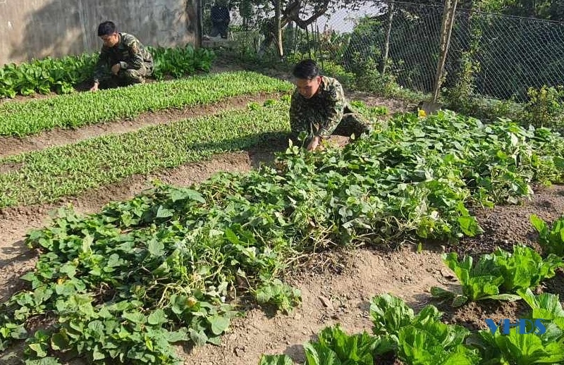 Một ngày của chiến sỹ Đại đội hỗn hợp đảo Nẹ