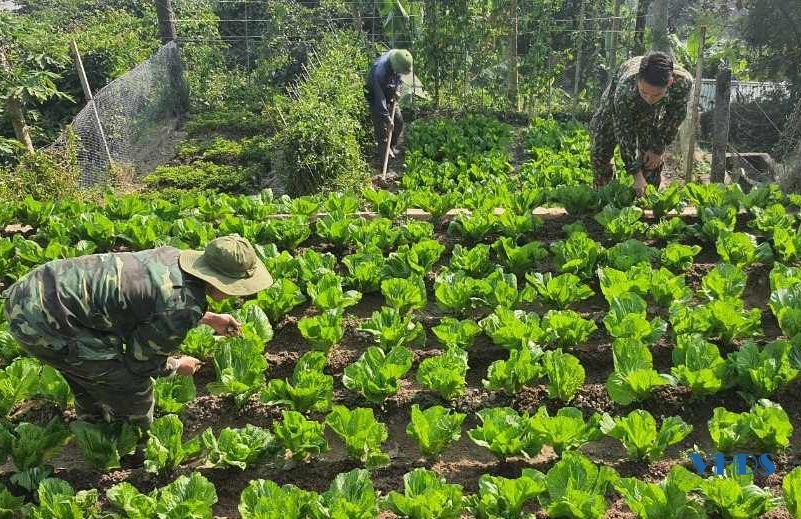 Một ngày của chiến sỹ Đại đội hỗn hợp đảo Nẹ