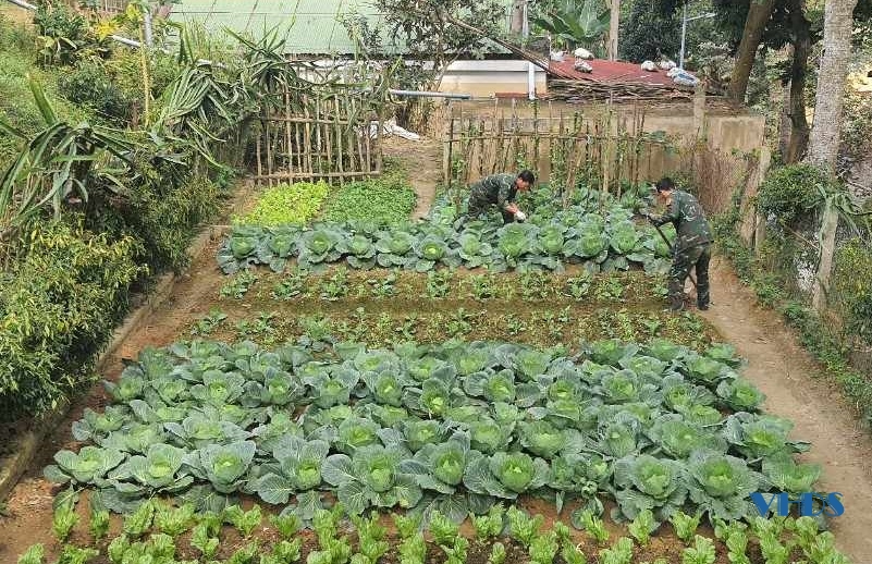 Một ngày của chiến sỹ Đại đội hỗn hợp đảo Nẹ