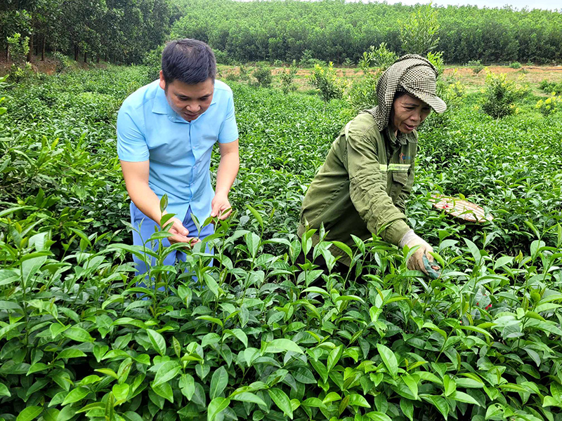 Phát huy các nguồn lực trong phát triển kinh tế, thoát nghèo bền vững ở Như Xuân