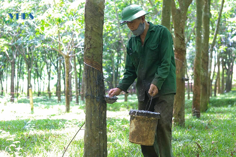 Phát huy các nguồn lực trong phát triển kinh tế, thoát nghèo bền vững ở Như Xuân