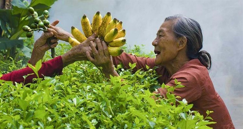 Bơ, đừng khóc!