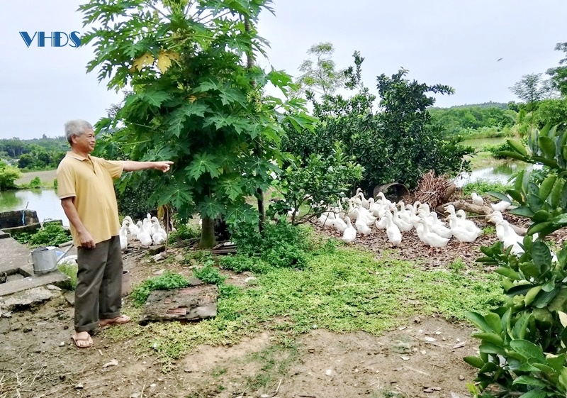 Triệu phú trên vùng đất sình lầy