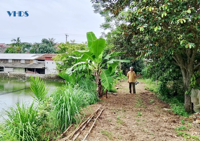 Triệu phú trên vùng đất sình lầy