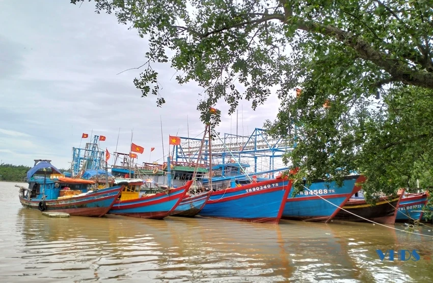 Bão tan, ngư dân Sầm Sơn vẫn không ra khơi